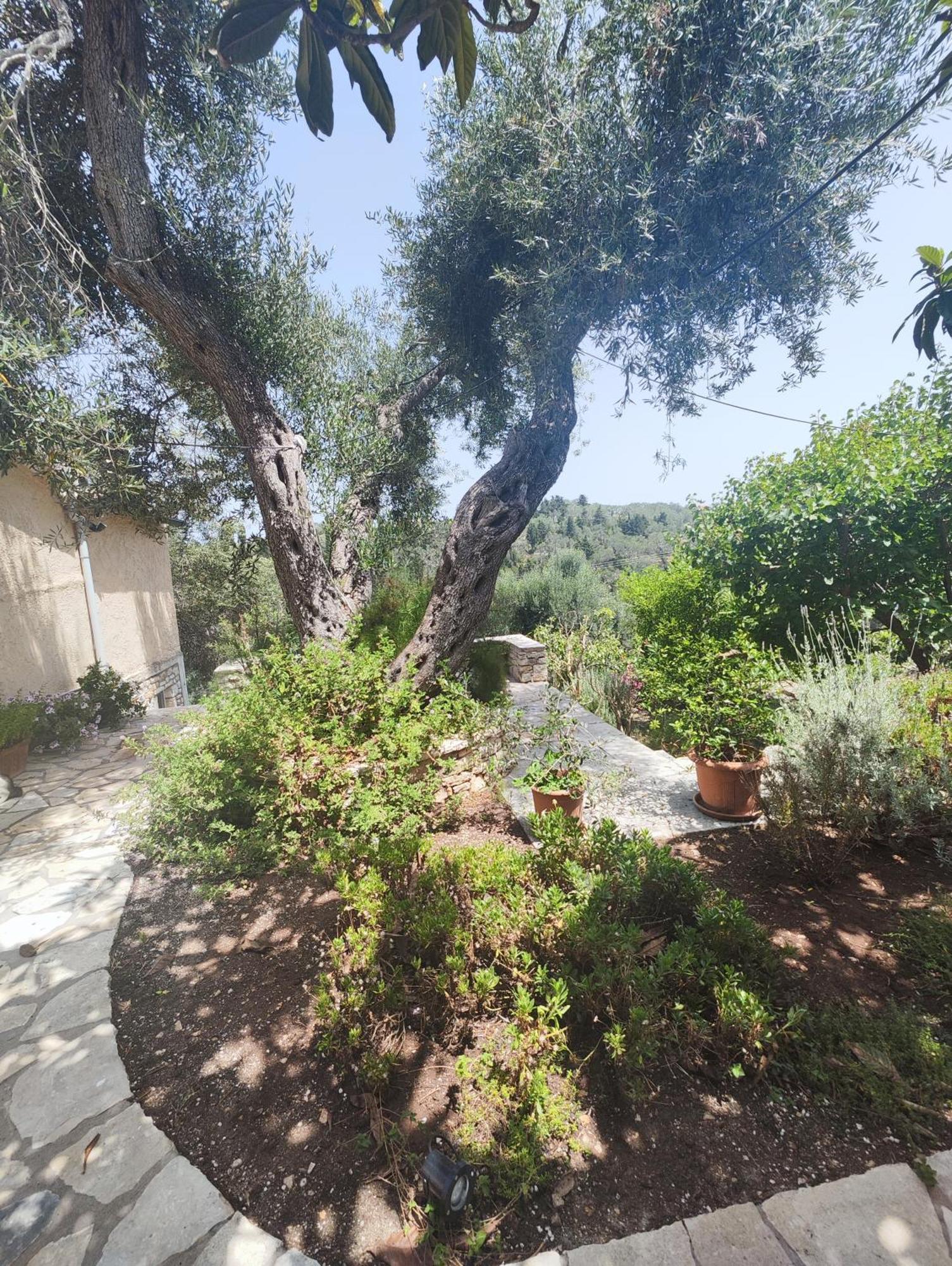 Rania'S Cottage Lakka  Exterior photo